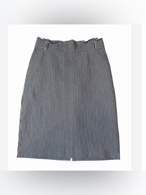 Ann Taylor Seersucker Pencil Skirt Size 8P